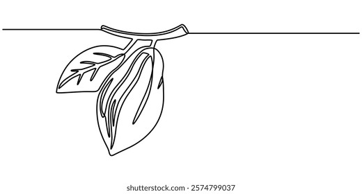 Single continuous line drawing of whole healthy organic cocoa bean for plantation logo identity. Fresh cacao concept for chocolate shop icon, Pro Vector, Continuous one line drawing of whole healthy.
