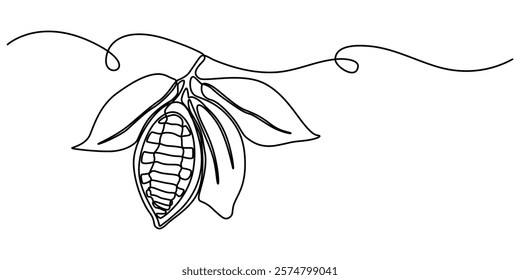 Single continuous line drawing of whole healthy organic cocoa bean for plantation logo identity. Fresh cacao concept for chocolate shop icon, Pro Vector, Continuous one line drawing of whole healthy.