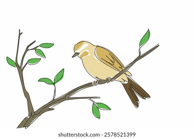 Single continuous line drawing willow warblers perched on tree branches. The inconspicuous chirp. Sweet chirps in garden. Songbird. International Dawn Chorus Day. One line design vector illustration