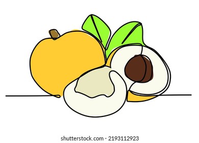 Single continuous line drawing of  yellow tropical longan fruits. Simple flat color hand drawn style vector illustration for natural and healthy living concept