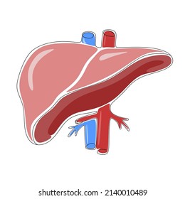 Single Continuous Line Liver Line Art Stock Vector (Royalty Free ...