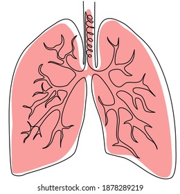 Single continuous line of Lungs. Line art of Lungs human organ. Vector illustration.