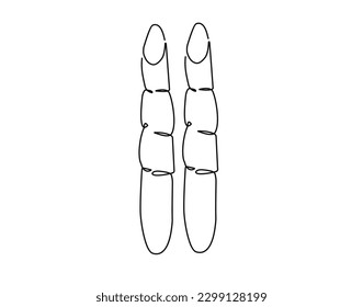 Single continuous line of sugarcane, isolated on white background