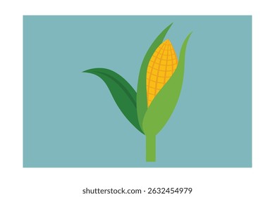 Single Corn Stalk with One Ear of Corn