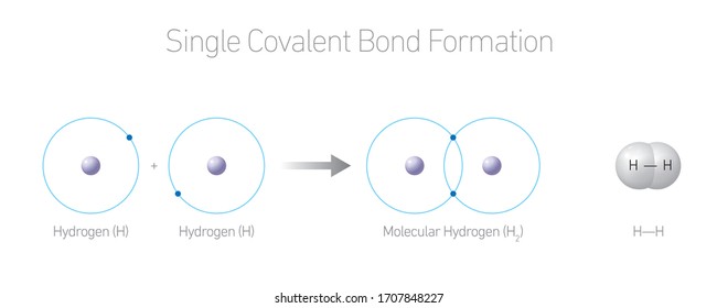  Single Covalent Bond Formation - Molecular Hidrogen H2 Isotope / Chemistry Vektorillustration Illustration