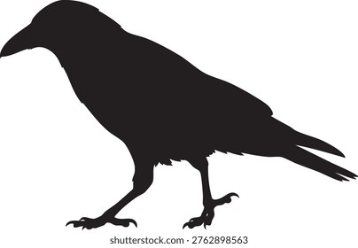 Single Crow Silhouette Walking Bird Profile on White Background
