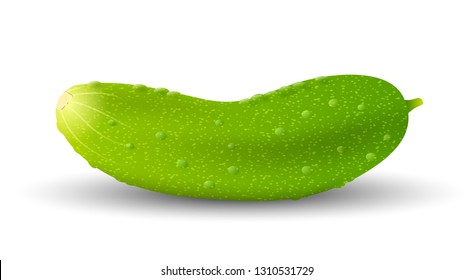 Single cucumber isolated on white background. Template for design banner or promotion poster. Vector eps10