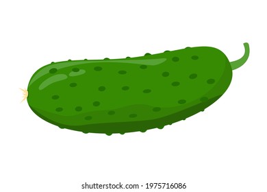 single cucumber isolated on a white background