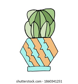 Un simple cactus lindo en una olla brillante está aislado en un fondo blanco. Humor festivo. Casa acogedora. Hogar. Decoración casera. Ilustración estilo Doodle.
