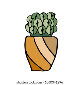 A single cute cactus in a bright pot is isolated on a white background. Festive mood. Cozy house. Houseplant. Hand-drawn home decor. Doodle-Style illustration.