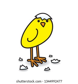 Single Cute Freshly Hatched Yellow Chick with Egg Shell Fragments Turning Head and Staring towards camera