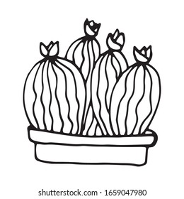 Single cute hand drawn cactus pot. Doodle vector illustration house plant for wedding design, logo, greeting card or seasonal design. Isolated on white background.