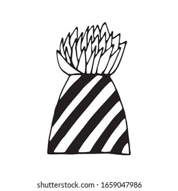 Una olla de cactus dibujada a mano linda. Planta de la casa de ilustraciones para el diseño de bodas, logotipo, tarjeta de felicitación o diseño estacional. Aislado sobre fondo blanco.
