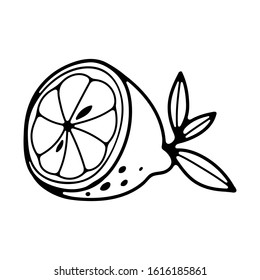 Single cute lemon icon. Isolated on white background