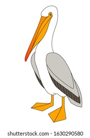 single cute pelican with yellow beak & paws, seabird for logo, pattern or emblem, color vector illustration with black contour lines isolated on white background in cartoon & hand drawn style