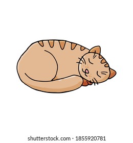Single cute spotted sleeping cat icon. Hand drawn vector illustration in doodle style outline drawing isolated on white background.