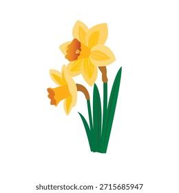Uma única flor de narciso. Uma paleta de cores de primavera vibrante, mas natural, pastéis macios em um fundo branco.