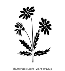 Single daisy or chamomile flower black stencil silhouette isolated on white. Hand drawn wildflower with stem and leaves. Vector clipart for floral illustration, screen printing, cutting, application.