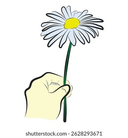 Single Daisy Flower in Hand – Minimalist Vector Illustration