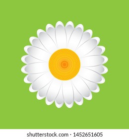 Single Daisy flower on green background, geometric pattern, vector