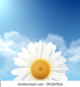 Single daisy flower a sky in the background. Vector illustration.