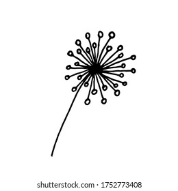Single dandelion seed flying in the air.
Hand drawn creative flower dandelion doodle. White background. Ink doodle illustration. Hand-drawn vintage, minimalistic black flower. Vector illustration.