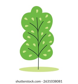 Ilustración de arte de Clip de árbol caducifolio único. Abedul o álamo del bosque dibujado a mano. Árbol plano de la ilustración simple con la corona verde. Gráficos de Vector