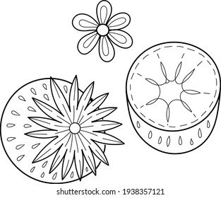 Single design element, clip-art. Berry, strawberry and flower. Scandinavian. For children. Cartoon style. Flat, doodle. Images. Stickers, advertising. Isolated on a white background. Contour.