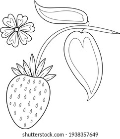 Single design element, clip-art. Berry, strawberry on a branch. Scandinavian. For children. Cartoon style. Flat, doodle. Stickers, advertising. Isolated on a white background. Contour, black and white