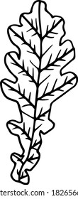 Single design element.  White background, vector graphics.  Nature.  Leaf from a tree. Contour.