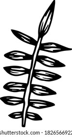 Single design element.  White background, vector graphics.  Plant branch, leaves.  Nature. Contour.