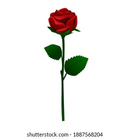 Single Stem Rose Images, Stock Photos & Vectors | Shutterstock