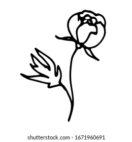 Einzeldoodle Blumen. Blütenknospe im Stilstil. Vektorillustration Blume. -Element für die Konstruktion. Hipster-Grunge-Zeichnungen.
