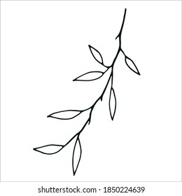 Hojas de doodle aisladas en blanco. Rama decorativa dibujada a mano con hojas. Diseño para redes sociales, web, publicidad
