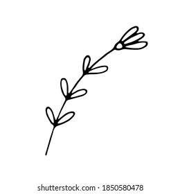 Single doodle leaf isolated on white. Decoration element for design invitation, wedding cards, valentines day.