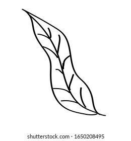 Einzeldoodle Blume, Blatt, Pflanze, Zweig. Vektorillustration. doodle Clip Art. Einzeln auf weißem Hintergrund. Für Design, Karten, Einladung, Dekoration, Aufkleber.