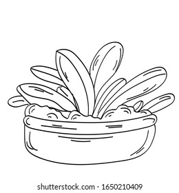Jarrón de jardín con planta. Decoración y herramientas de jardín. Vector. el doodle clipart. Aislado sobre un fondo blanco. Diseño, tarjetas, invitación, decoración, etiquetas