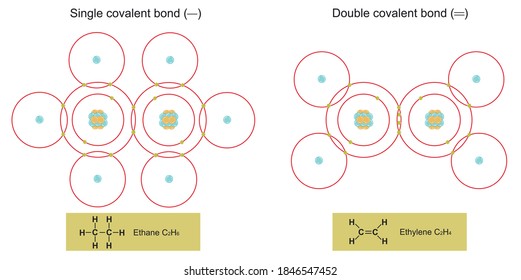 Single And Double Covalent Bonds 