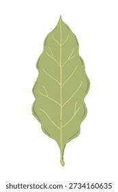 Ilustración de hoja de bahía secada individual