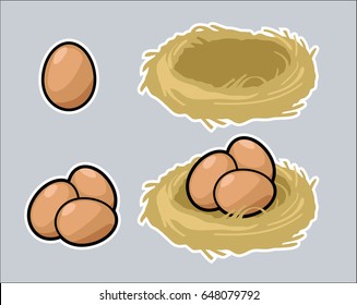 Single egg, three eggs, nest, and eggs in nest