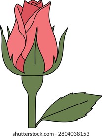 Single Elegant Red Rosebud Beginning to Bloom With Clean Outlines Isolated on a Minimal Plain White Background