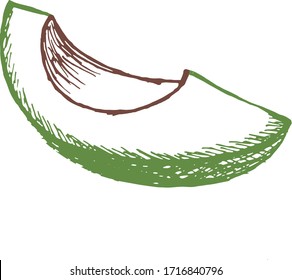 Einzelelement, Avocado, handgezeichnete doodle Abbildung in der Vektorillustration. Futter handgezeichnet Illustration.Design für Verpackungen, Hochzeiten, Stoffe, Textilien, Tapeten, Website, Postkarten.