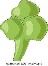 Broccoli de un solo elemento. Dibujar ilustración en colores