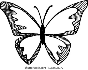 Single element of butterfly in doodle summer set. Hand drawn vector illustration for greeting cards, posters, stickers and seasonal design.