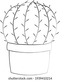 Single element cactus. Draw illustration in black and white