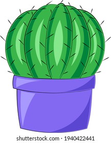Single element Cactus. Draw illustration in colors