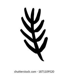 Single element. Christmas tree branch. Hand-drawn. Doodle, sketch, icon. Dry twig for decoration. Vector illustration for greeting cards, print, banners and seasonal designs. On a white background.