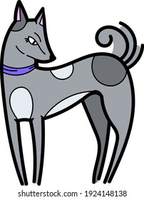 Single element for design, clipart. Gray dog, puppy, pets. Suitable for postcards, patches, stickers, advertisements. Scandinavian. For kids. Bright colors, vector. Cartoon style. Logo.