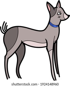Single element for design, clipart. Gray dog, puppy, pets. Suitable for postcards, patches, stickers, advertisements. Scandinavian. For kids. Bright colors, vector. Cartoon style. Logo.