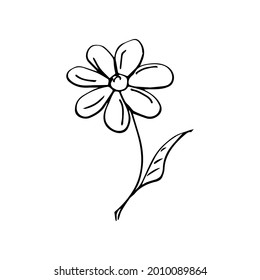 A single element is a flower drawn by hand. Vector black and white doodle illustration for logo, design and postcards